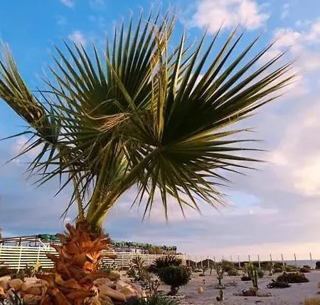 Bed and Breakfast B&B La Torre Punta Braccetto